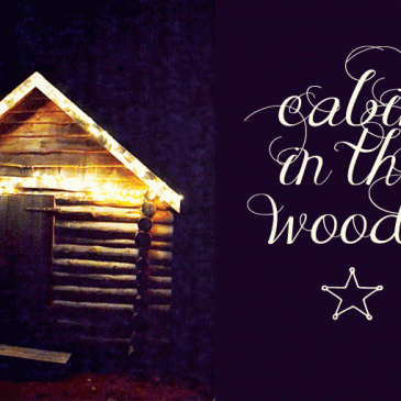 A cabin in the woods