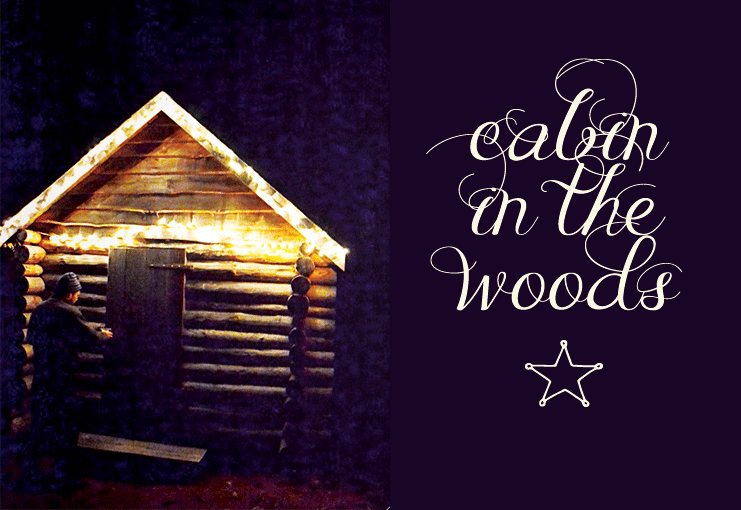 A cabin in the woods