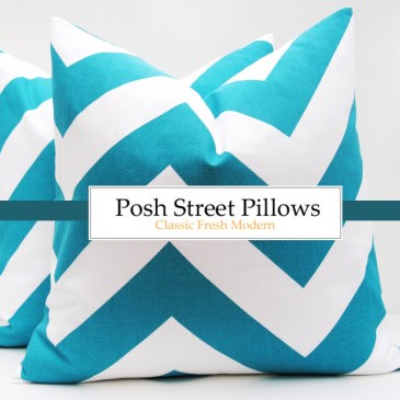 Posh Street Pillows