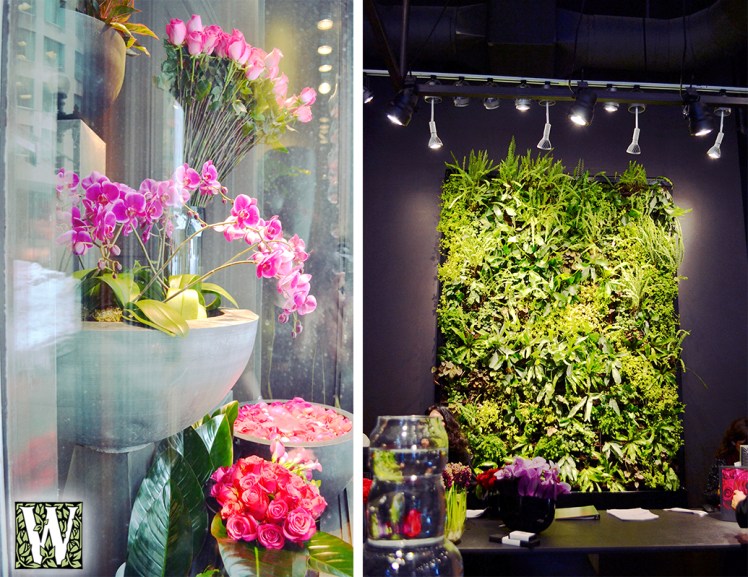 Winston Flowers Financial District