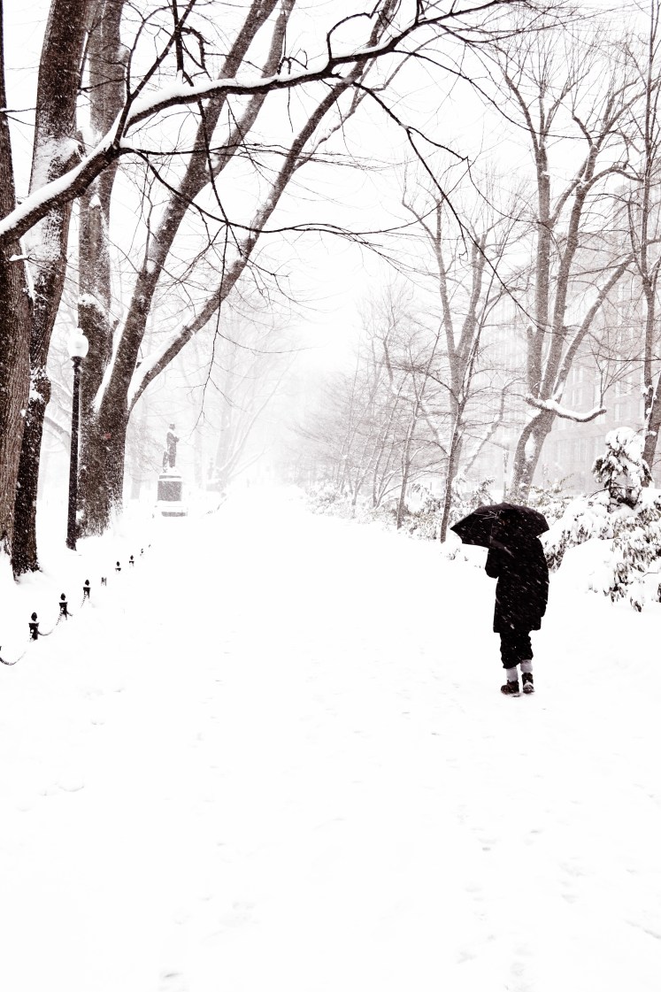 Boston Garden in the snow