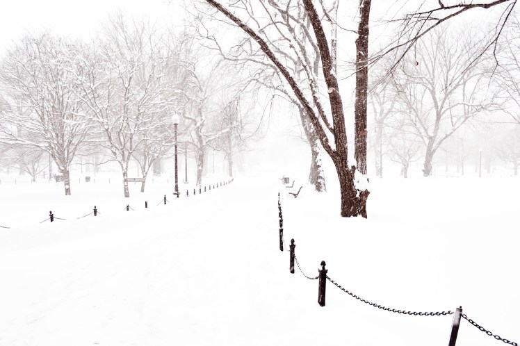 Boston Garden in the snow