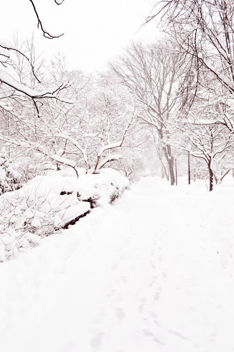 snowy path