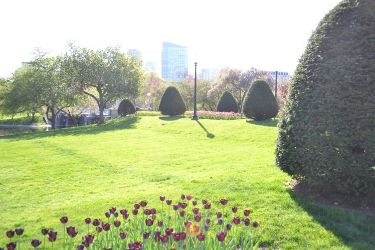 Public Garden