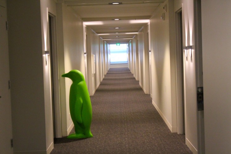penguin in the hallway