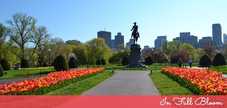 Boston Public Garden