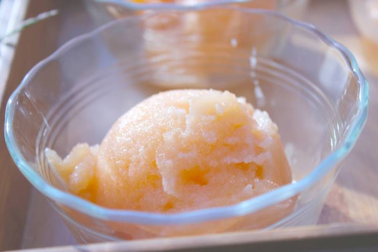 cantaloupe sorbet