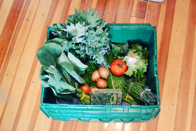 Boston Organics Dogma box