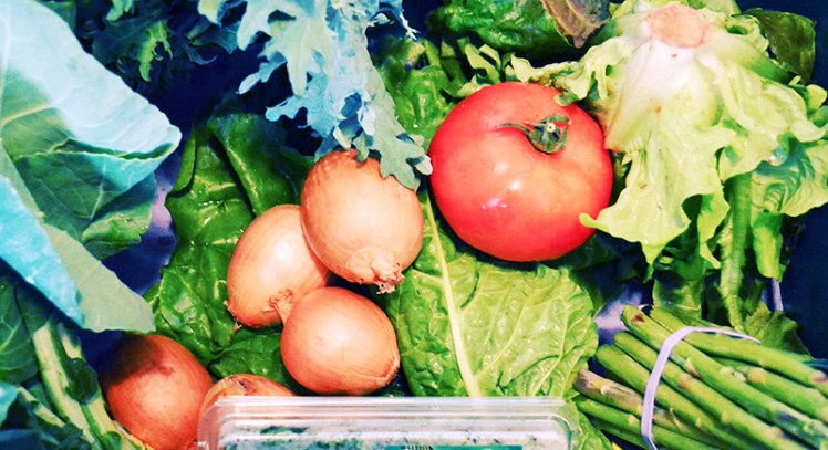 Eat organic with Boston Organics