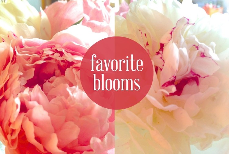 favorite blooms