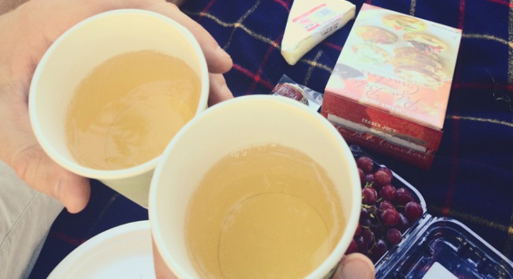 picnic Charles River