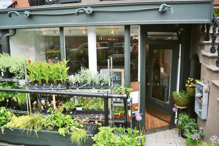 Niche Urban Garden supply