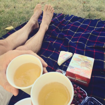 summer picnic Charles River