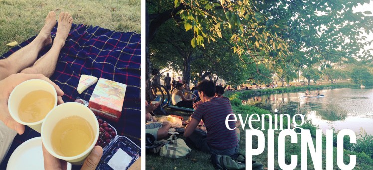 picnic on the Esplanade