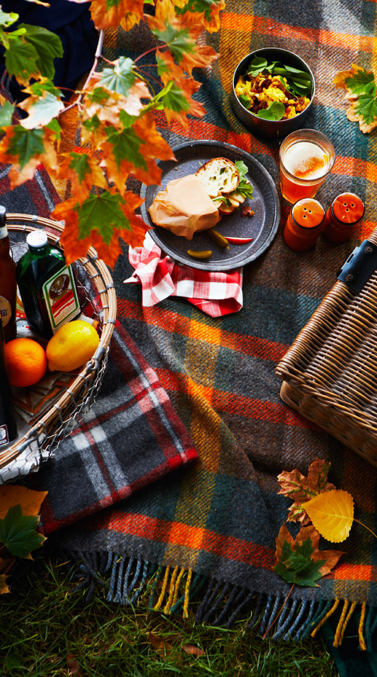 fall picnic on a plaid blanket