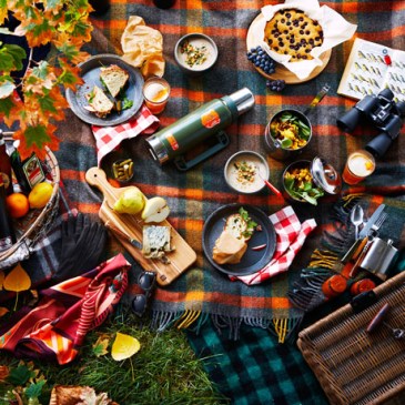 fall picnic