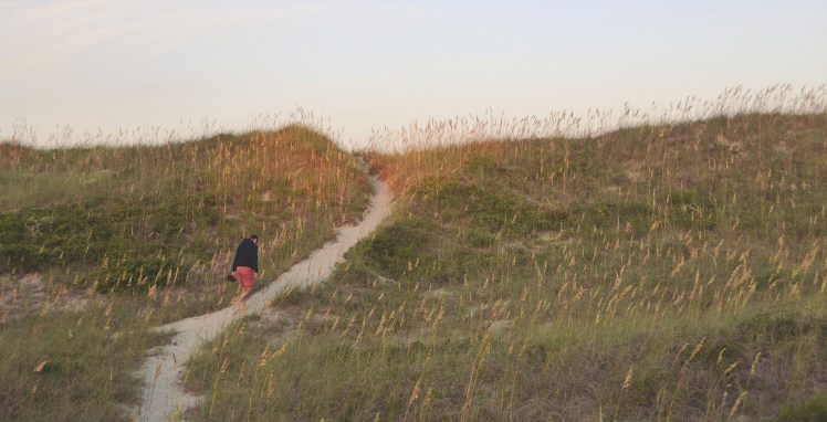 Outer Banks beach dunes