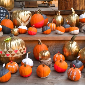 painted pumpkins