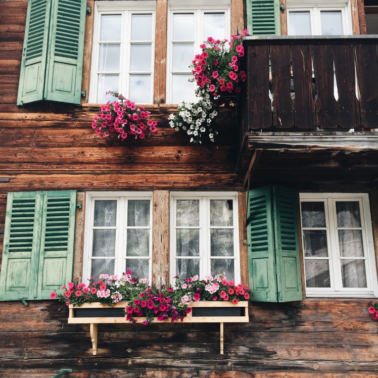 Processed with VSCO with a6 preset