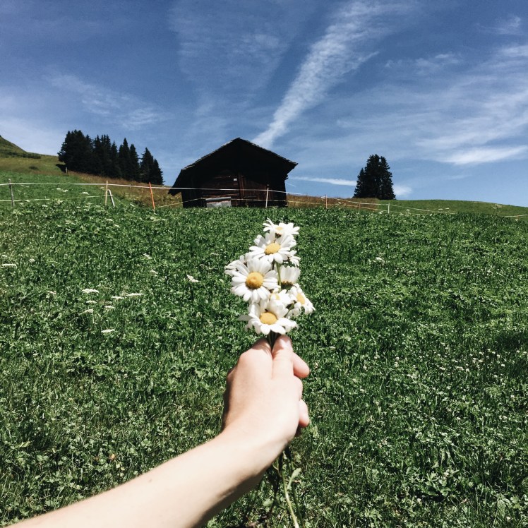 Processed with VSCO with a6 preset