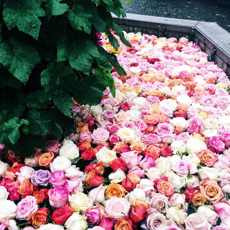 Processed with VSCO with c3 preset