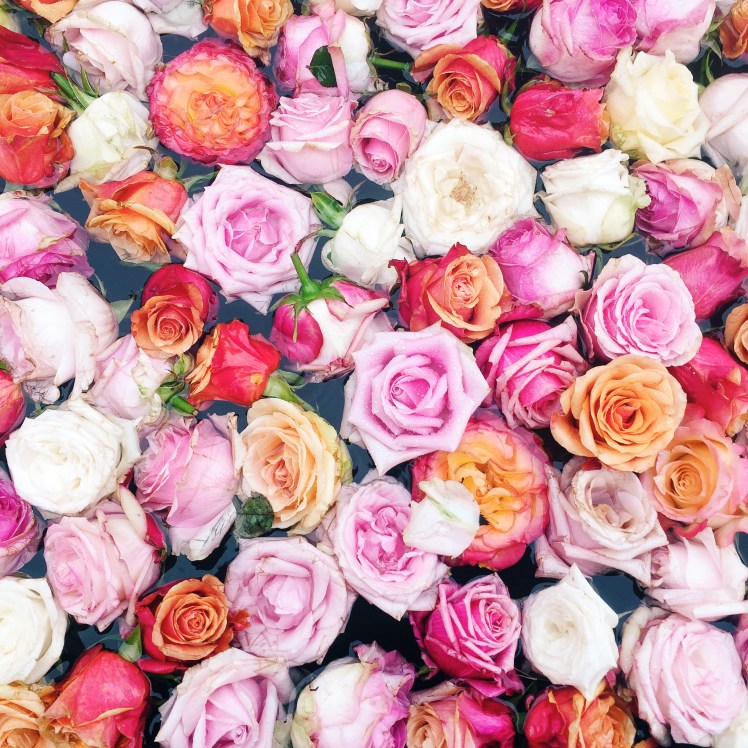 Processed with VSCO with c3 preset