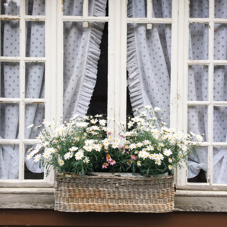 Processed with VSCO with a6 preset