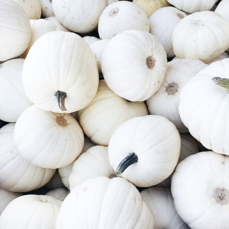 Processed with VSCO with a6 preset