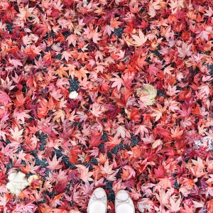 Processed with VSCO with a6 preset