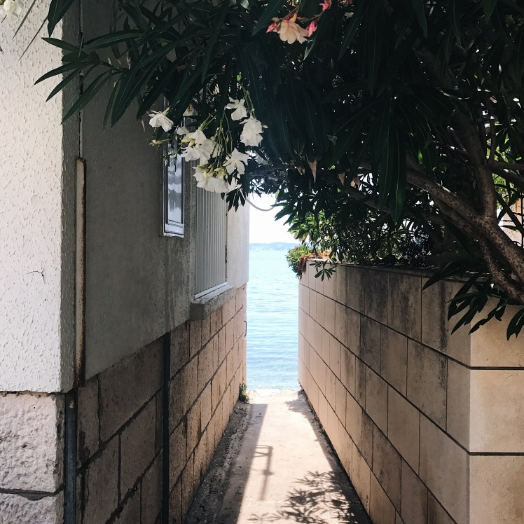 Processed with VSCO with a6 preset