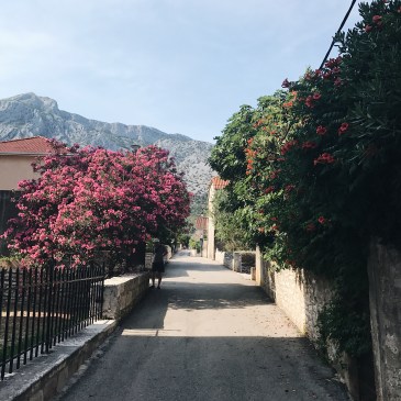 A Day in Orebic Croatia