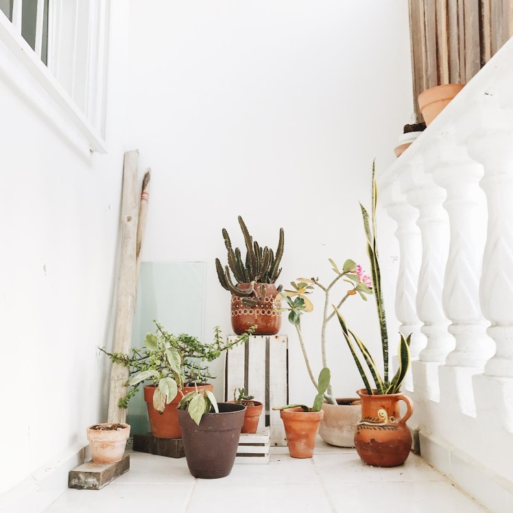 Processed with VSCO with a6 preset