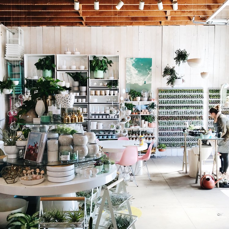 Processed with VSCO with a6 preset