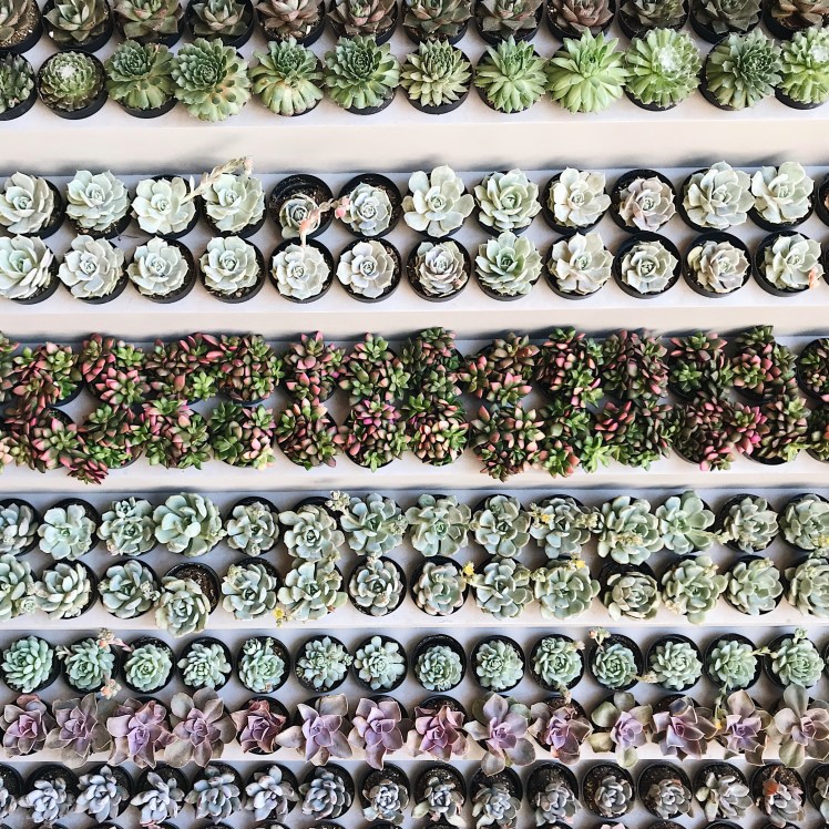 Processed with VSCO with a6 preset