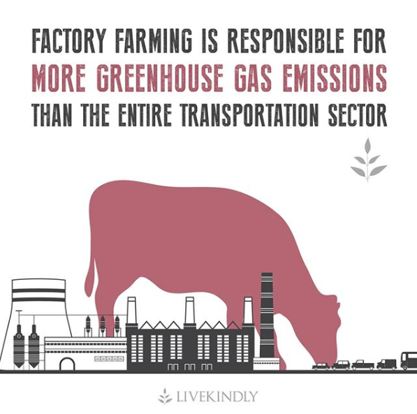 factory_farming_greenhouse_gas