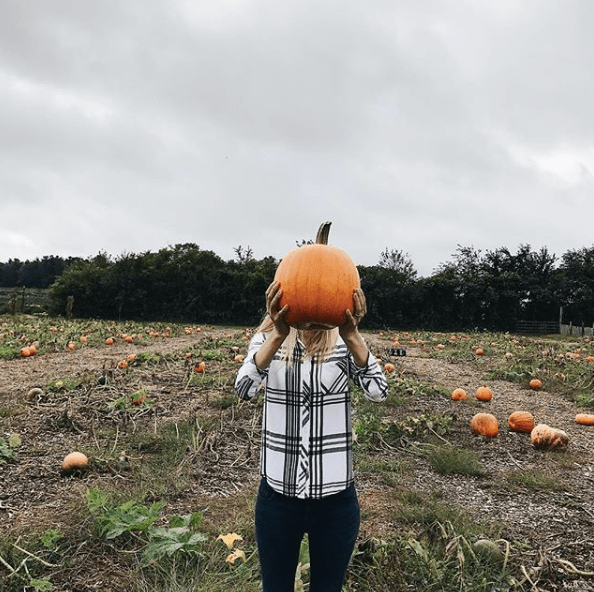 new_england_pumpkin_patch