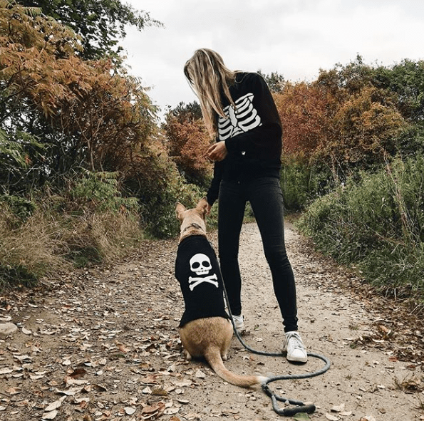 Halloween_costume_petco