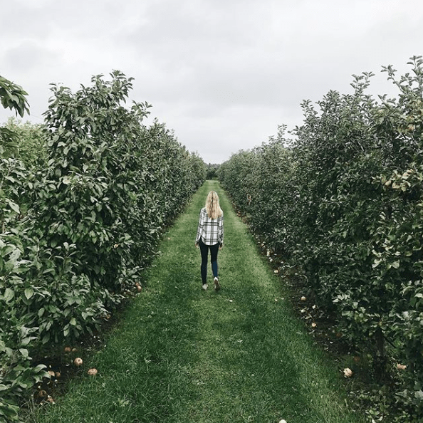 Screen Shot 2018-10-30 at 4.07.45 PM