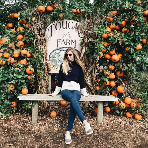 Tougas_farm_pumpkins