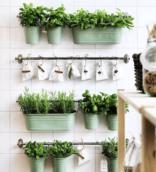 kitchen_herb_garden