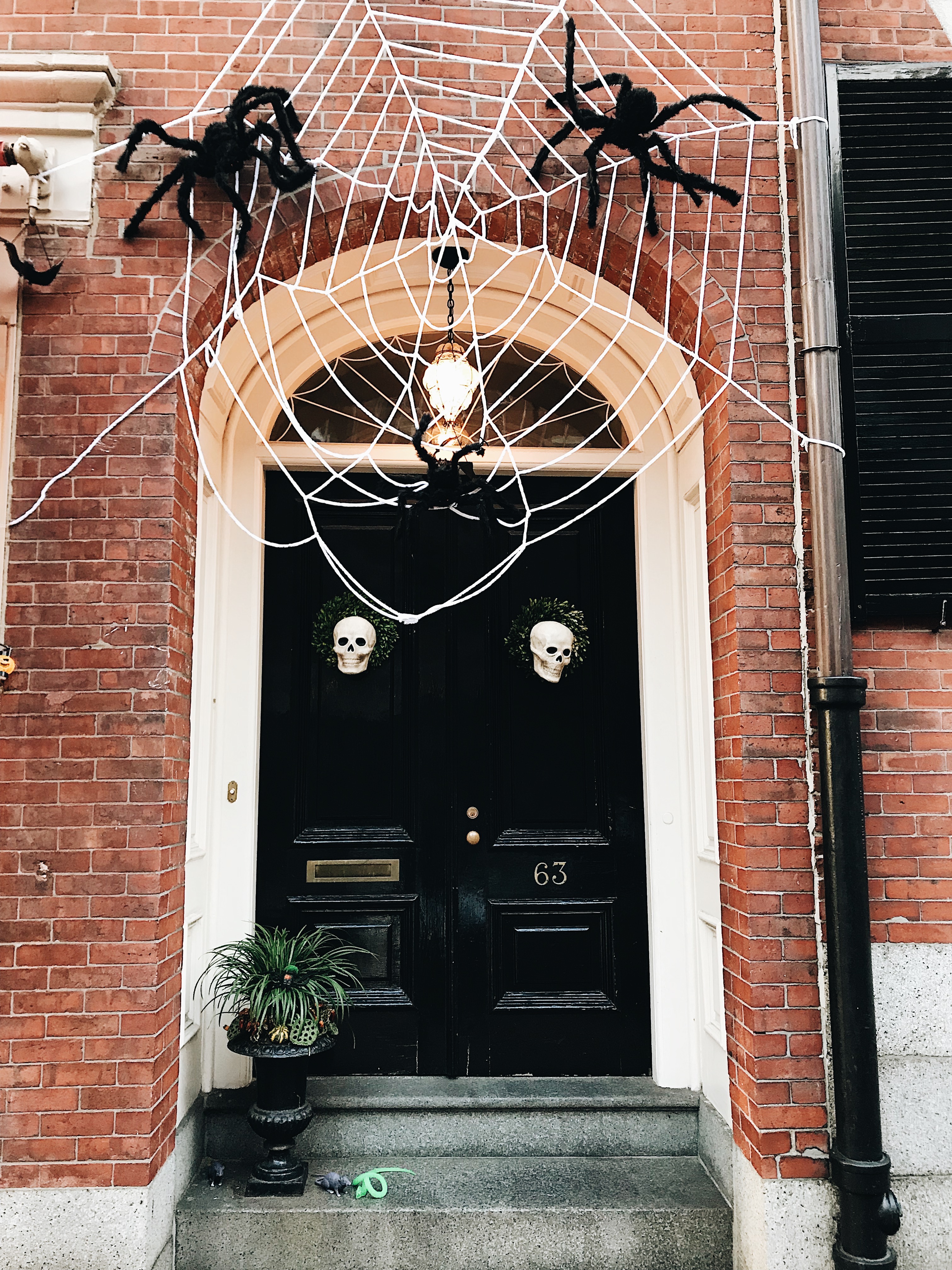 Processed with VSCO with a6 preset