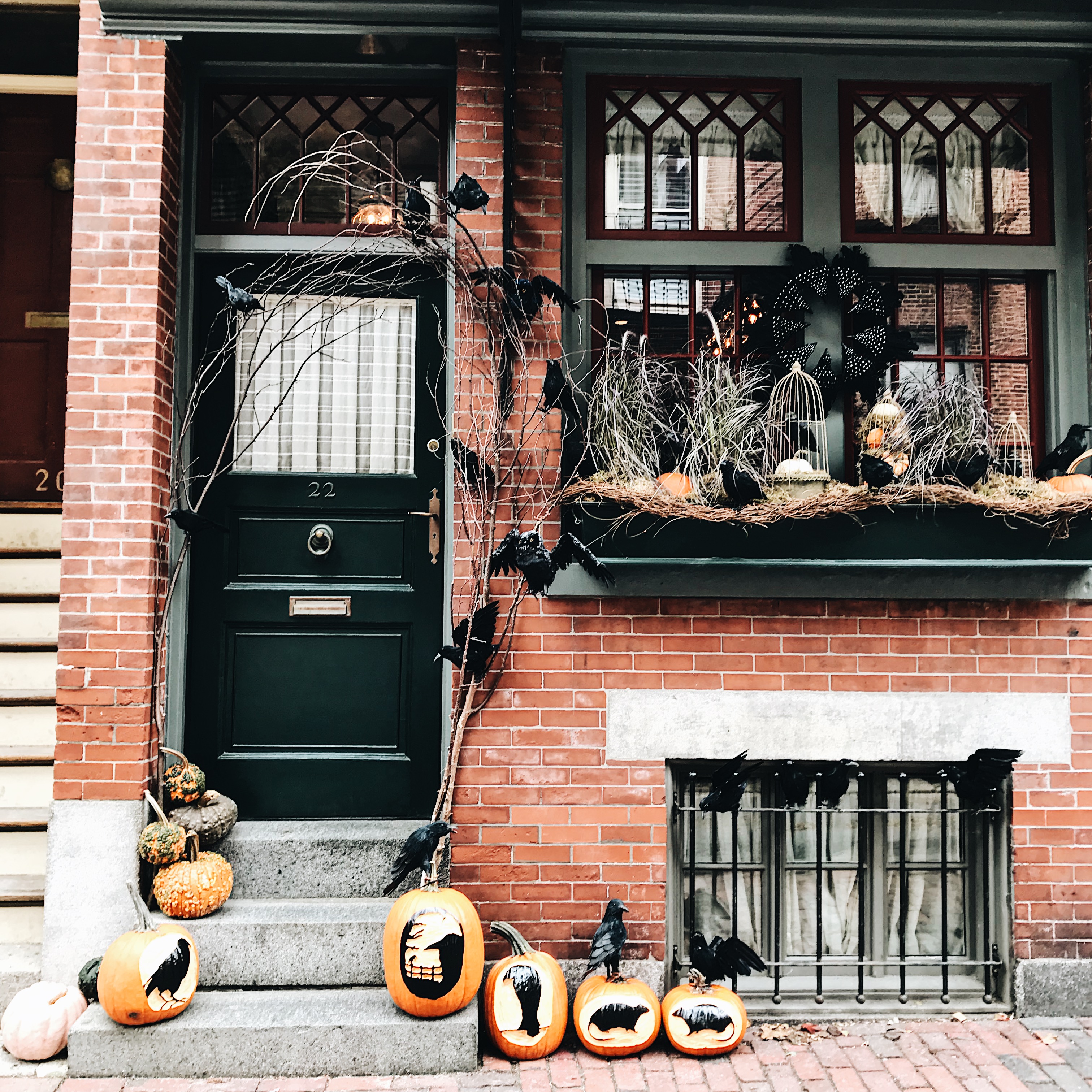 Processed with VSCO with a6 preset