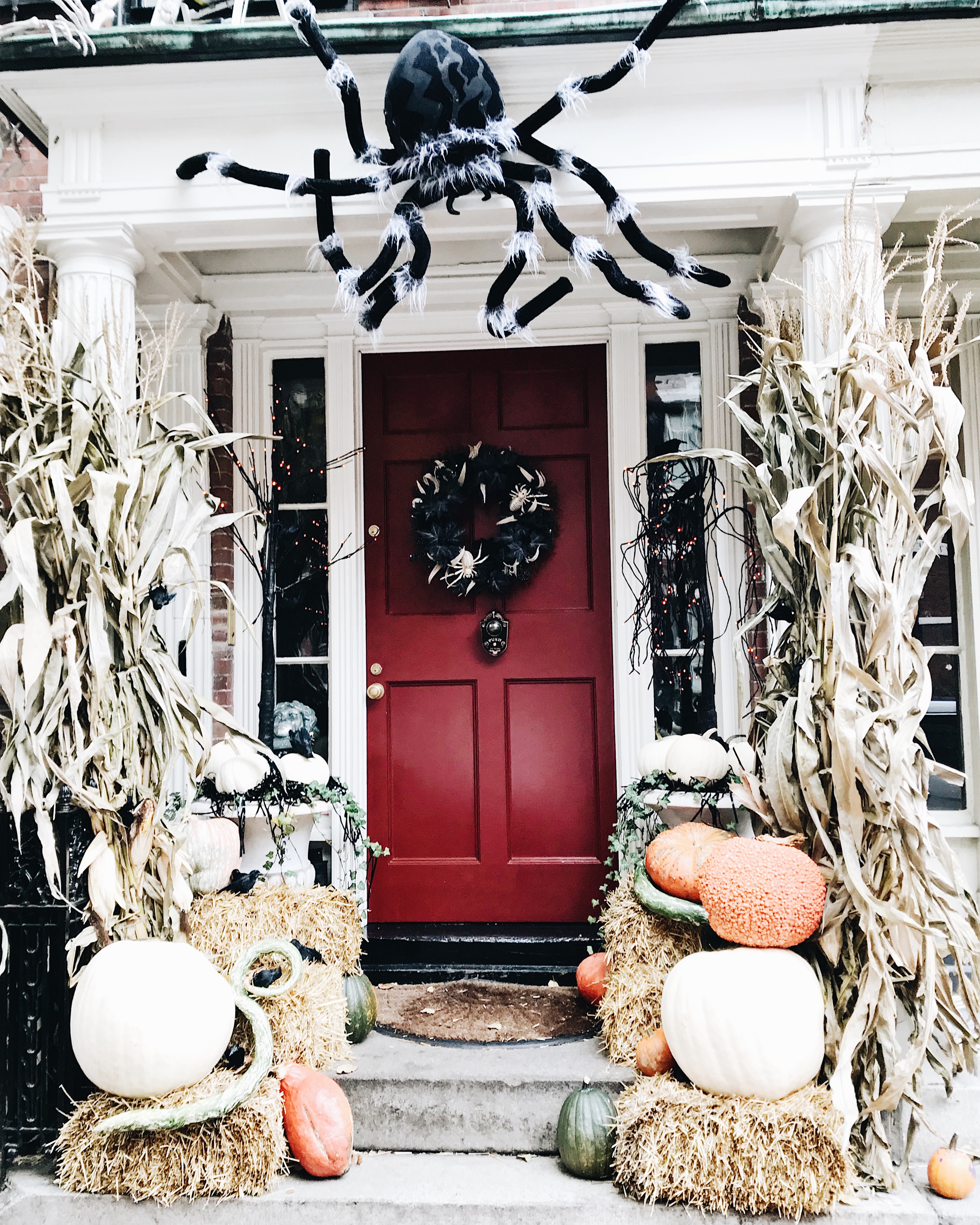 Processed with VSCO with a6 preset