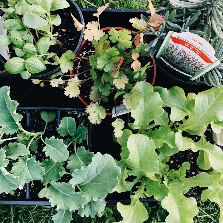 Processed with VSCO with a6 preset