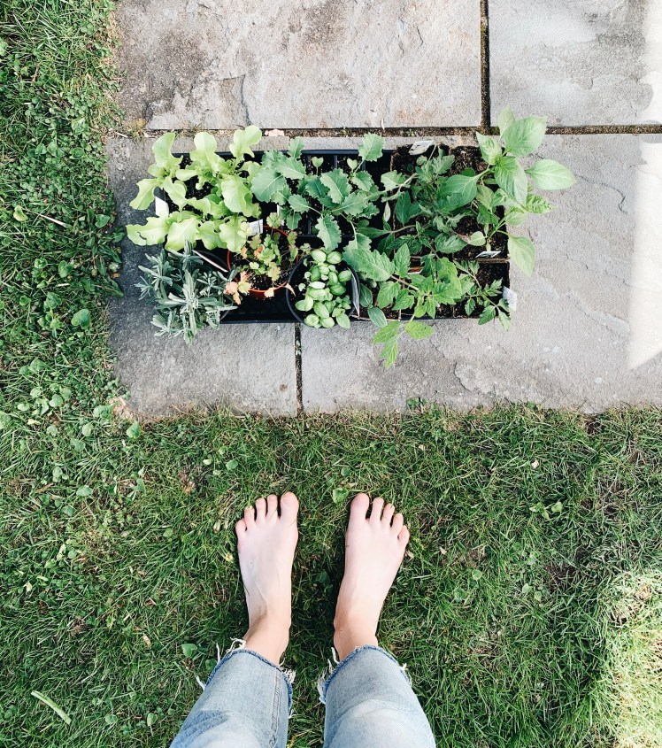 Processed with VSCO with a6 preset